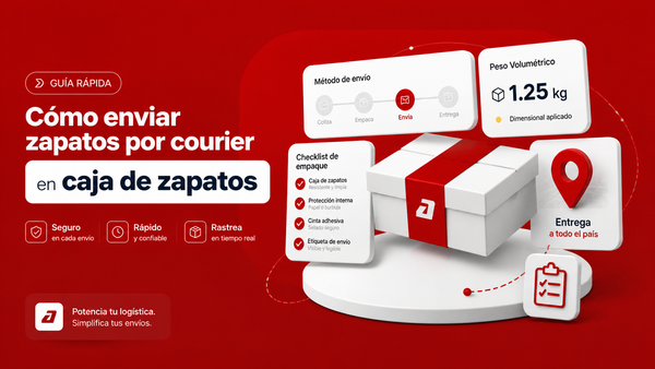 Cómo Enviar una Caja de Zapatos por Paquetería en México sin Pagar de Más - Guía completa de Autopaquete